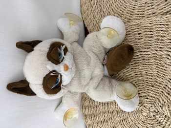 Peluche Chat Grumpy Cat Ganz avec ventouses pour fenêtre