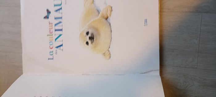 Livre géant la couleur des animaux - photo numéro 2