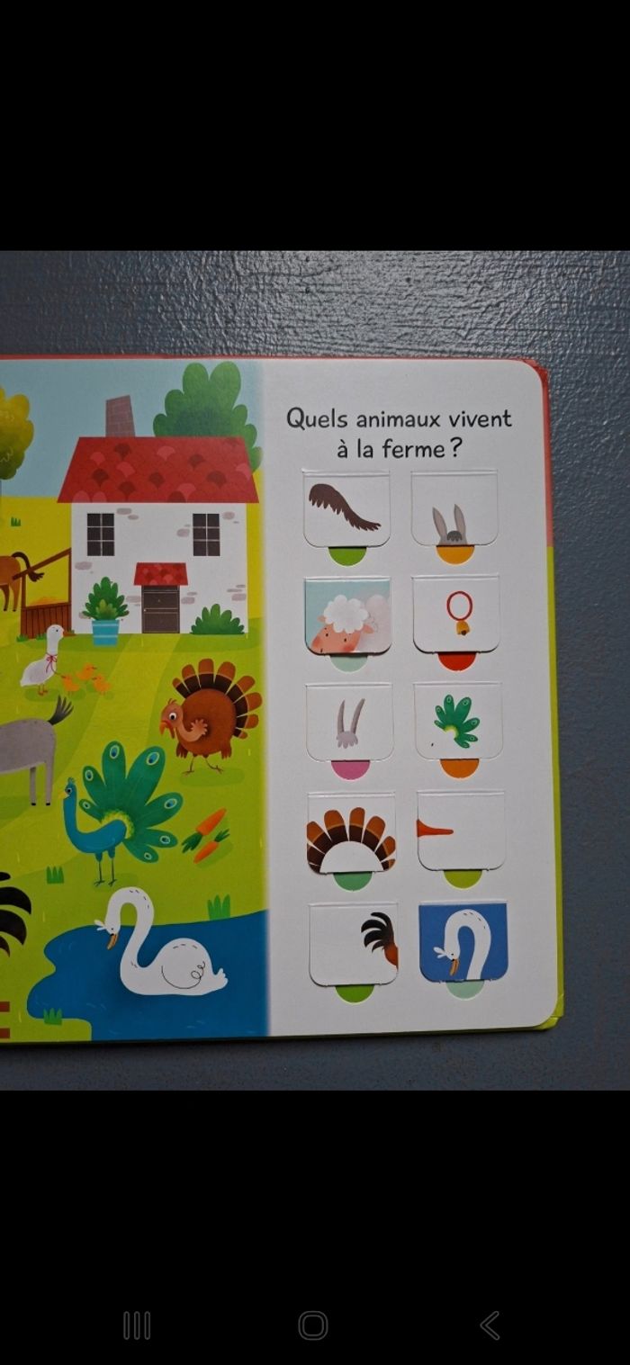 Livre à rabats - photo numéro 7