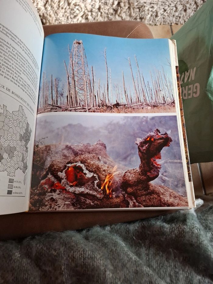 Le grand livre de la forêt. - photo numéro 9