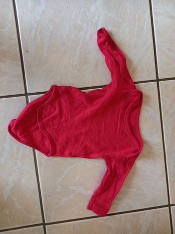 Body