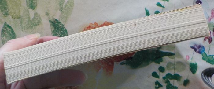 LE MURMURE DU VENT de Karen VIGGERS Ed. Le Livre de Poche - photo numéro 5