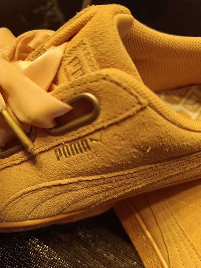 Puma. - photo numéro 3