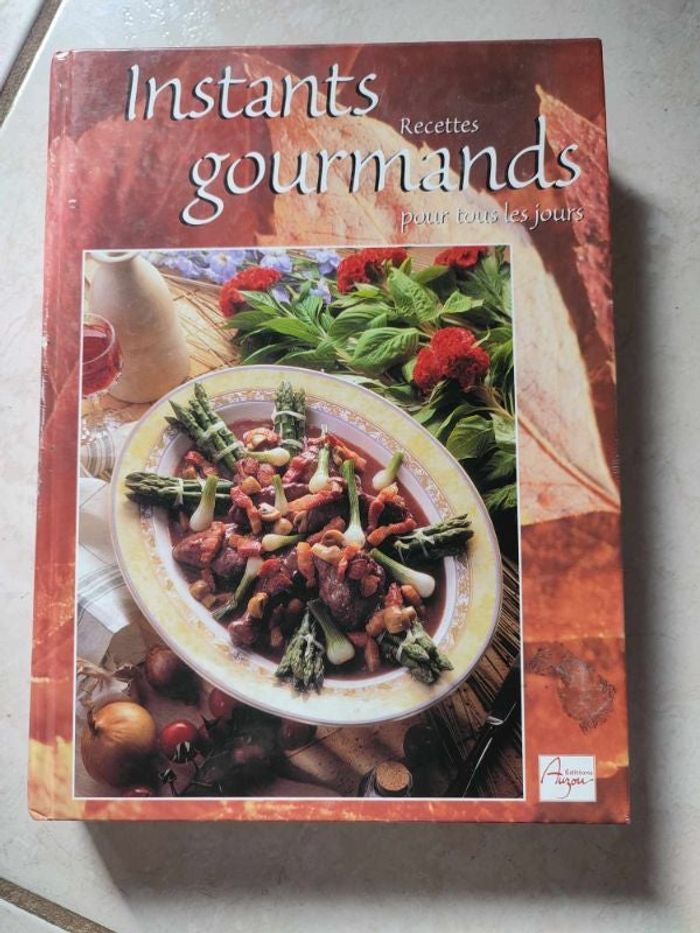 Livre instant recette gourmand pour tous les jours