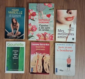 Lot 6 romans Marie Vareille, Raphaëlle Giordano, Laurent Gounelle,  Alice Hoffman et Agnès Ledig