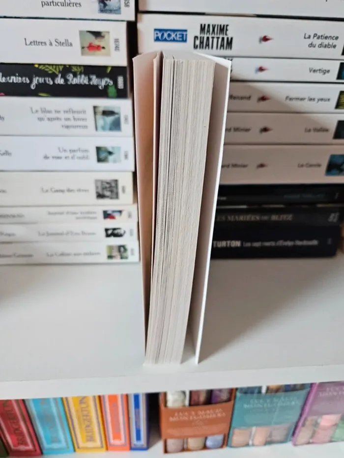 Livre Dernier bateau pour l'Amérique - photo numéro 4