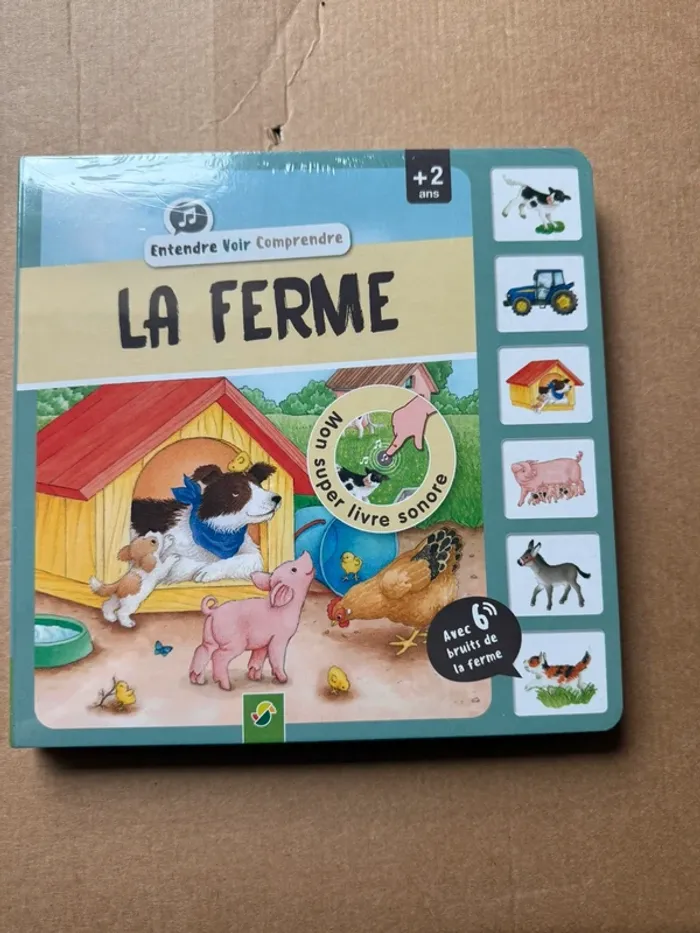 Livre entendre voir comprendre neuf