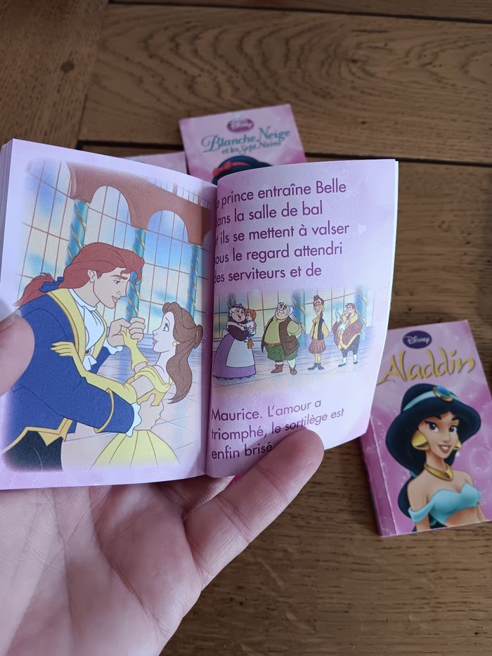 Ma bibliothèque de princesses Disney - photo numéro 7