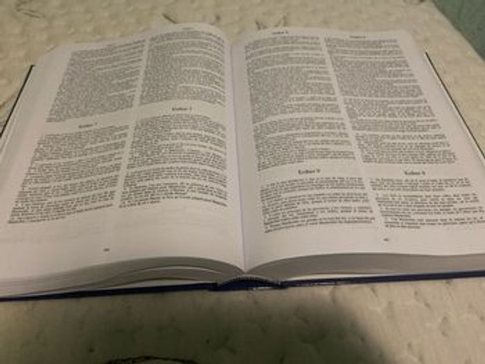 Santa Biblia Bilingüe Espagnol Francés - photo numéro 3