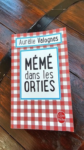 Mémé dans les Orties d'Aurélie Valognes