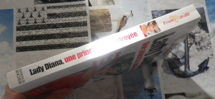 Lady Diana Une princesse foudroyée Histoire d'un destin d'exception - photo numéro 6