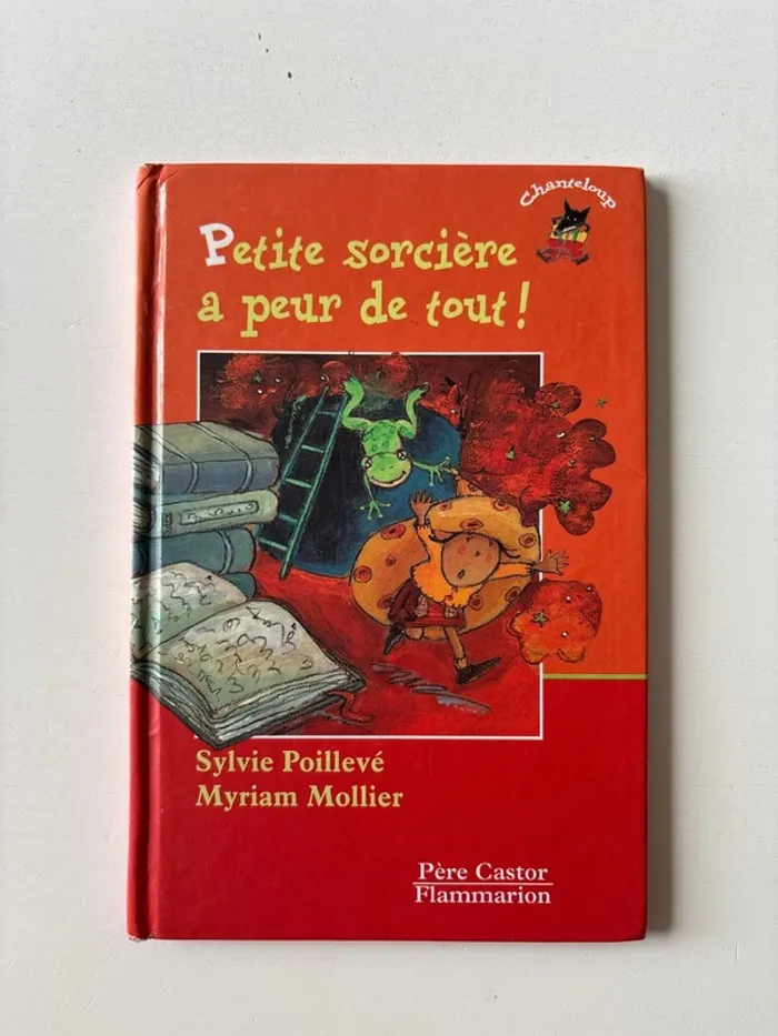 Livre, petite sorcière a peur de tout