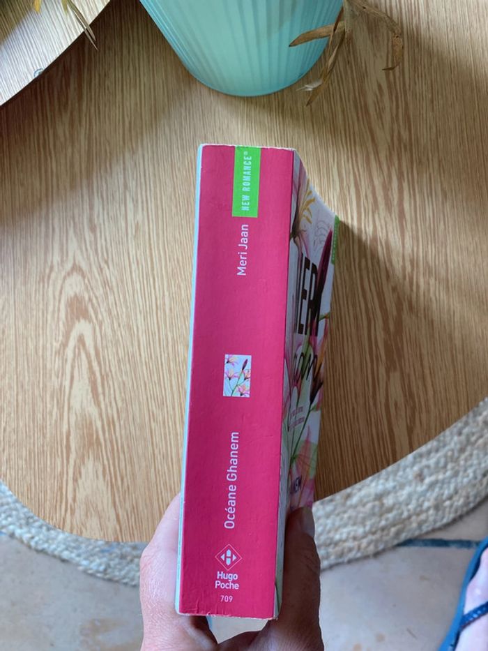 Livre meri jaan - photo numéro 2