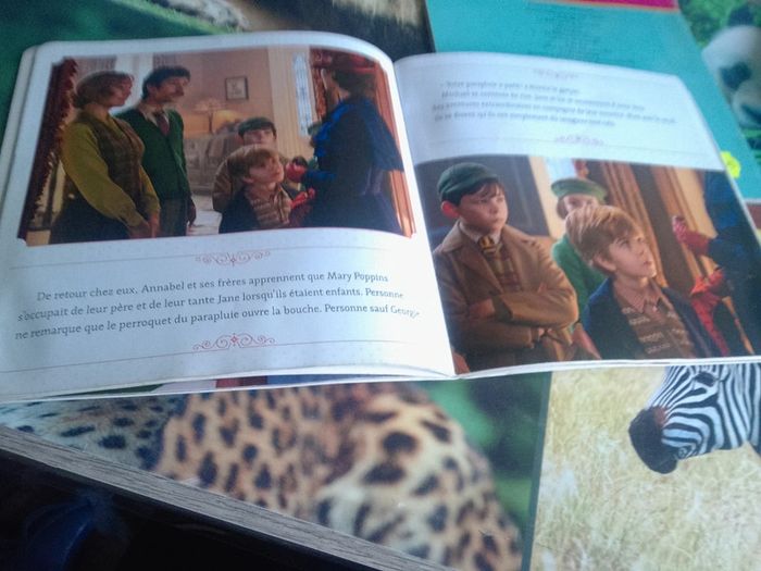 Lot livre Disney - photo numéro 4