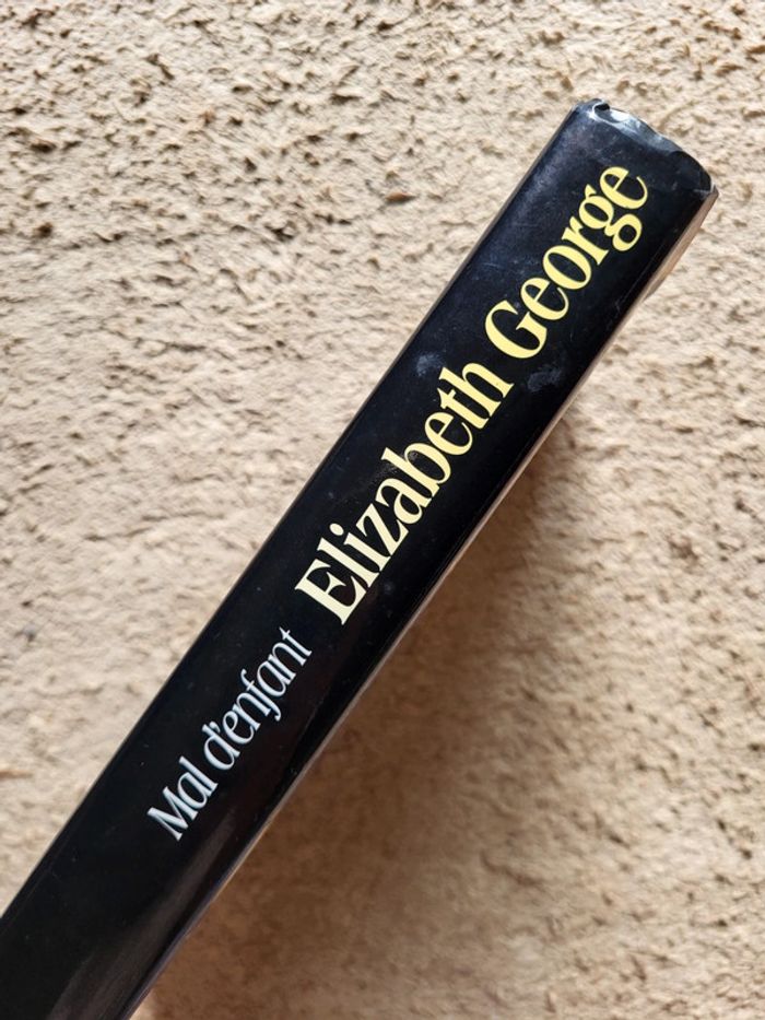 Livre Mal d'enfant d'Elizabeth George - photo numéro 5
