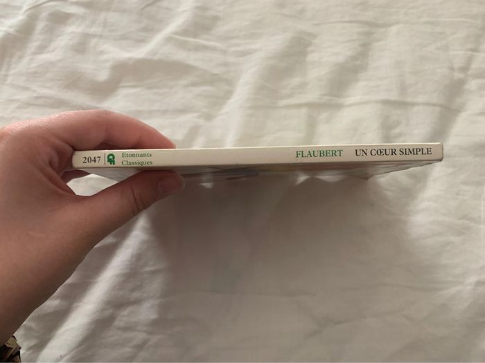 Flaubert un cœur simple - photo numéro 6