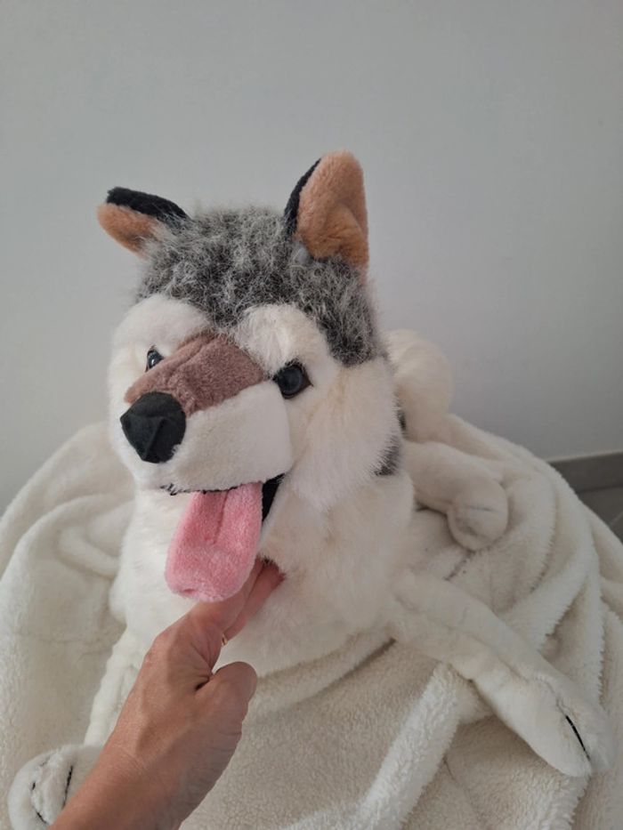 Grande peluche chien husky