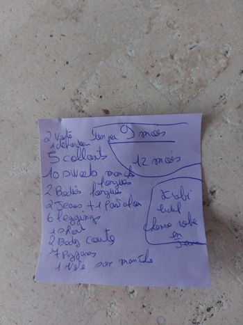 Lot de vêtements fille