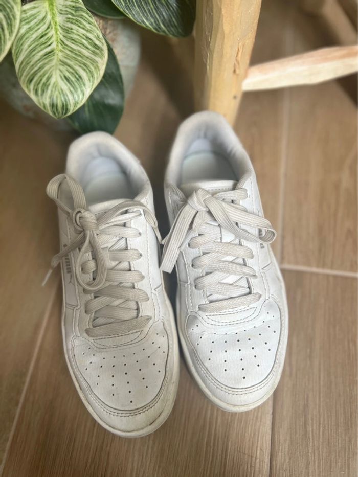 Basket Puma