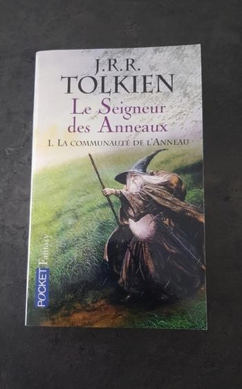 Livre le seigneur des anneaux