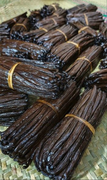 Lot de 10 gousses de vanille