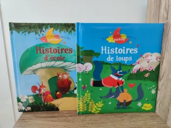 Lot de 2 recueils d'histoires pour enfant