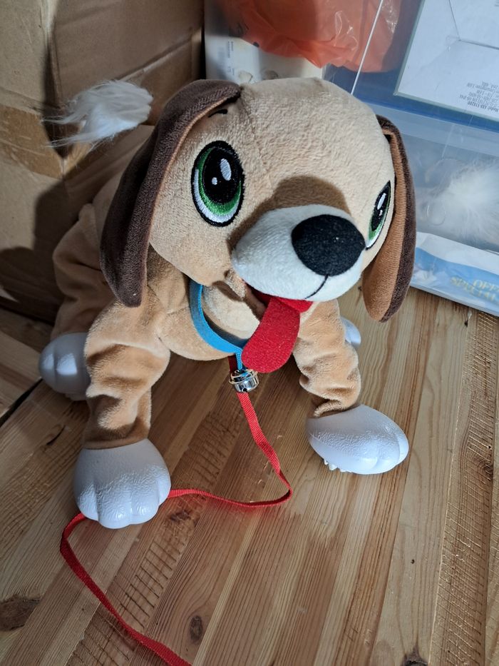 Chien à tirer
