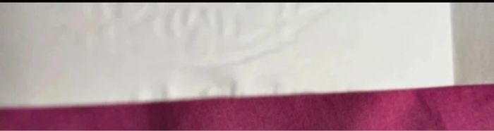 L’elfe au dragon - photo numéro 3