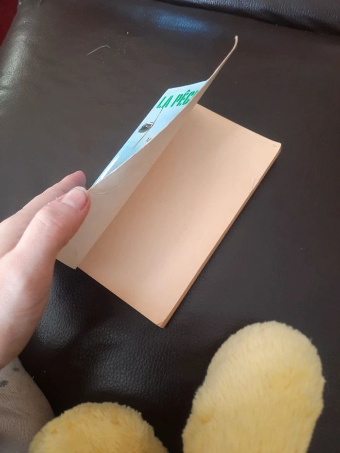 Lot de 2 livre pratique pêche - photo numéro 13