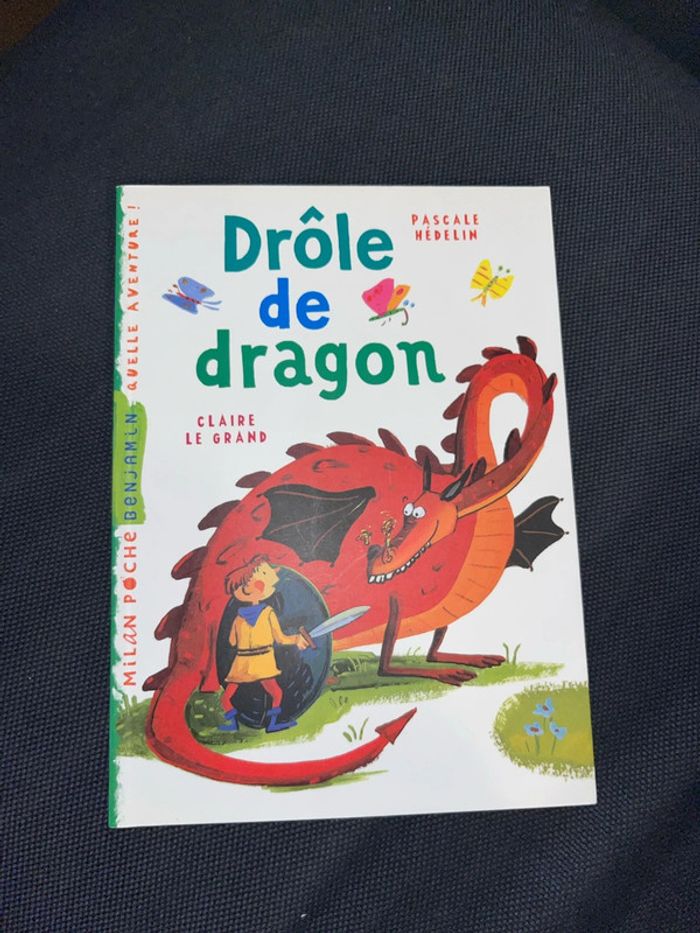 Livre pour enfants drôle de dragon par pascale hedelin
