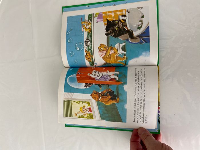 Livre Caroline invite ses amis - photo numéro 7