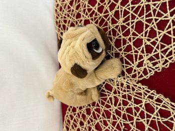 Keel Toys Peluche Chien PUGSLEY