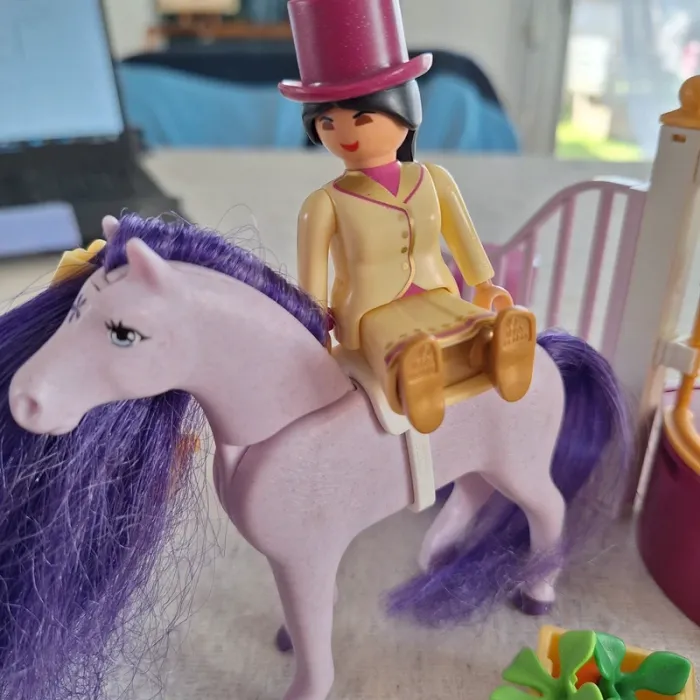 Playmobil - photo numéro 3