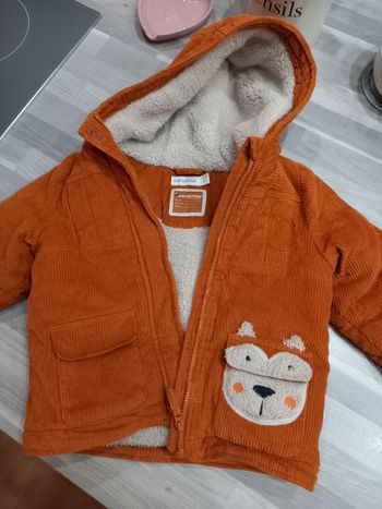 Manteau Orchestra renard