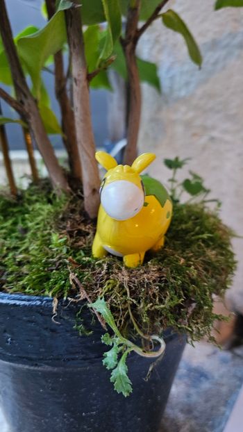 Super figurine Pokemon R/LW chamallot