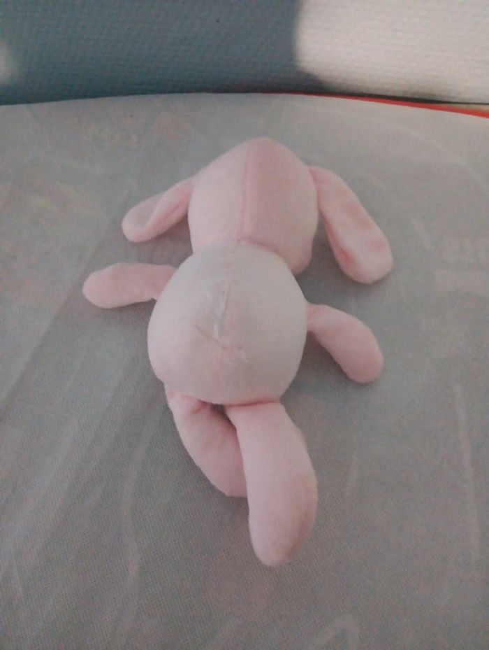 Chien - photo numéro 2