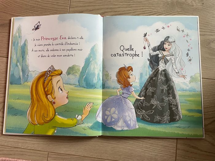 Livre Princesse Sofia - photo numéro 6