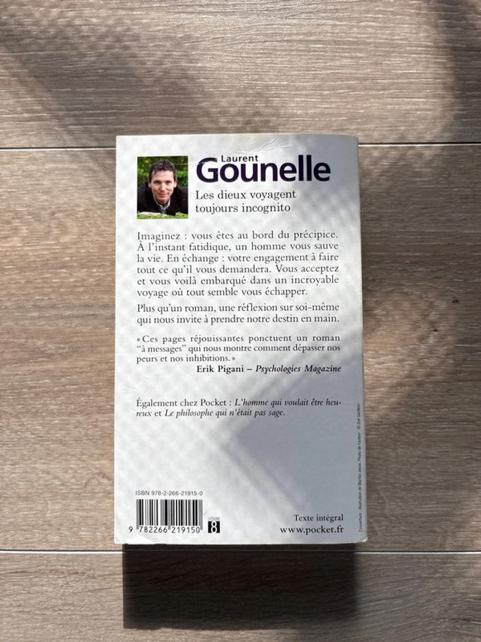 Livre les dieux voyagent toujours incognito - photo numéro 2