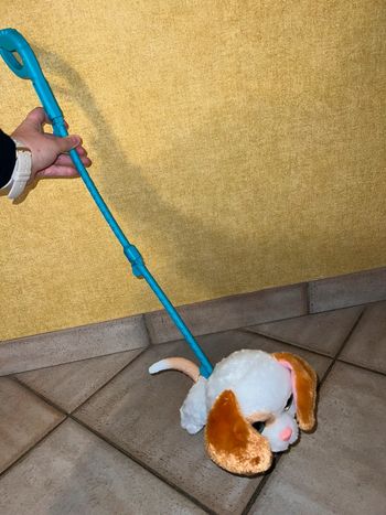 Chien peluche de compagnie