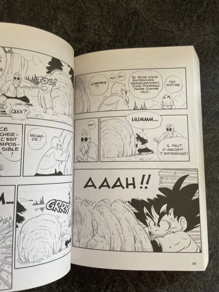 Manga Dragon Ball - photo numéro 3