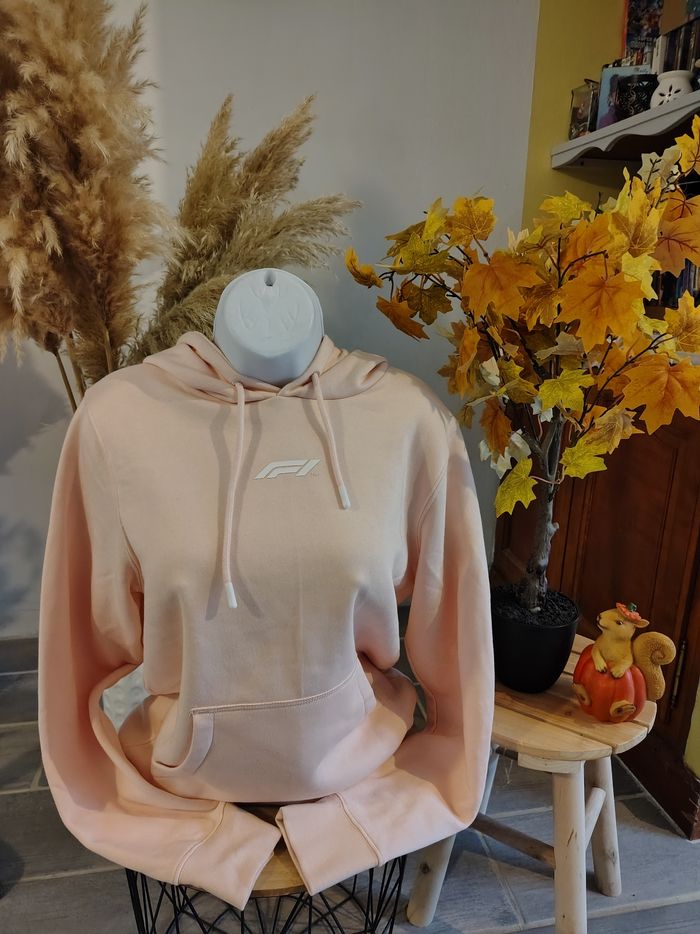 Sweat a capuche femme 🎀 34/36