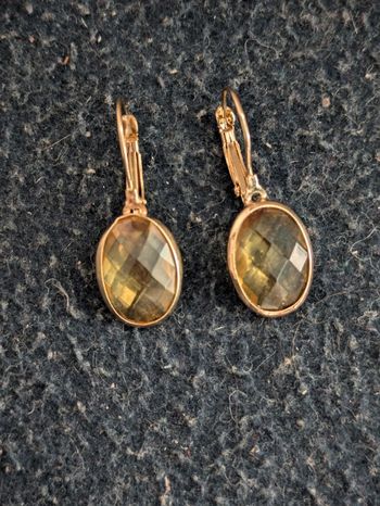 Boucles d'oreilles dormeuses a strass