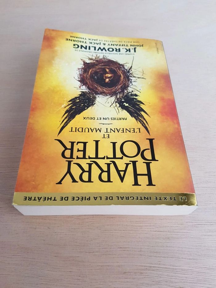 Le Livre Harry Potter et l'enfant maudit - photo numéro 10