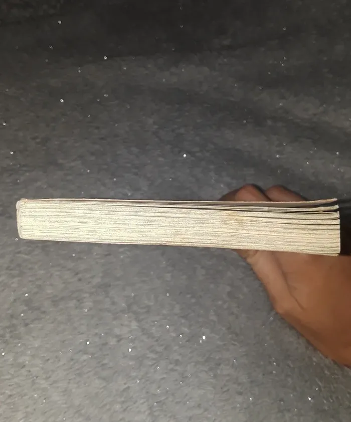 Manga hana yori dango - photo numéro 8