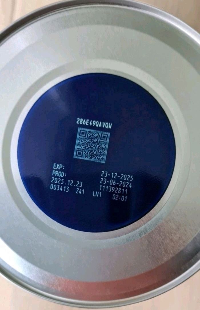 Gallia procesa 2ème âge - photo numéro 2