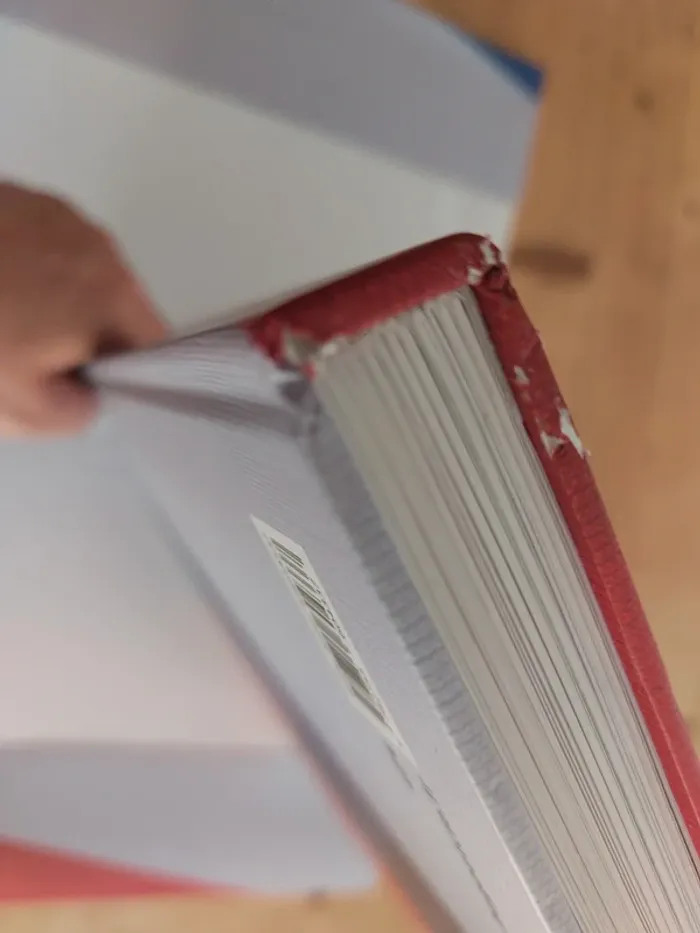 L'histoire de l'Olympique Lyonnais - photo numéro 7