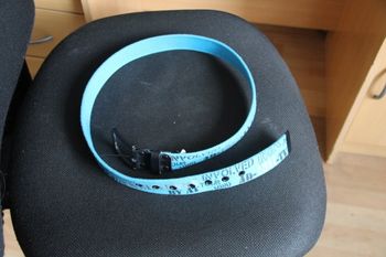 ceinture bleu