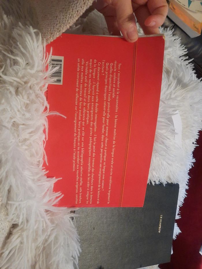 La maitrise de la langue à l'école - photo numéro 3