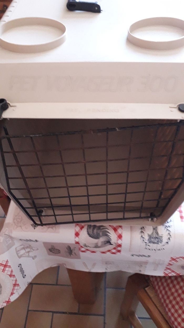 Cage transport - photo numéro 2