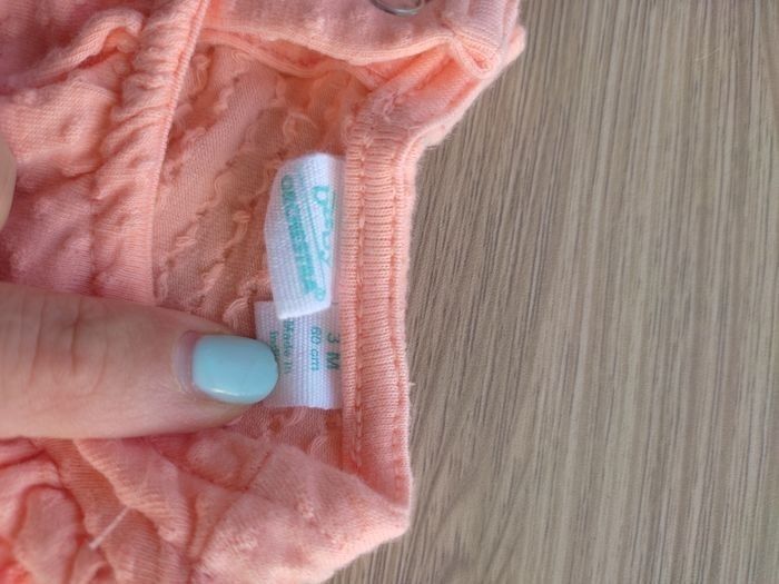 Bodie Disney - photo numéro 2